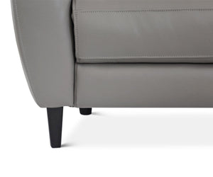 Regine Leather Power Recliner