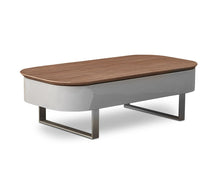 Load image into Gallery viewer, Baptisia Lift Top Storage Coffee Table
